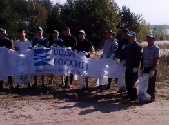 Территорию Котовского водохранилища убрали защитники природы