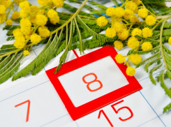 Накануне 8 Марта волонтёры поздравят тамбовчанок в общественном транспорте