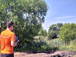 Пропавшая 88-летняя бабушка найдена живой через 3 дня поисков