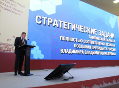 Социальный кодекс и акселератор для стартапов появятся в Тамбовской области 