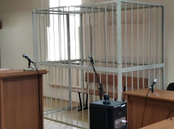 В Тамбовской области возбуждены уголовные дела за интернет-призывы к террору против власти