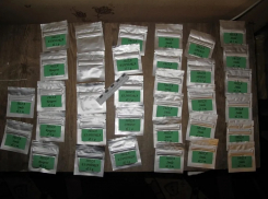 В Тамбове перед судом предстанет 16-летняя закладчица