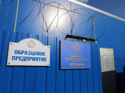 «Тамбовская сетевая компания» пополнила бюджет на 600 миллионов рублей