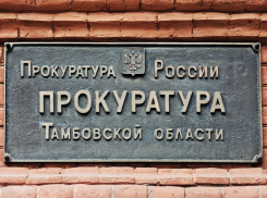 В Инжавинском округе многодетные семьи получили земельные участки после вмешательства прокуратуры