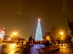 В истории с мичуринской ёлкой может всплыть коррупционная составляющая