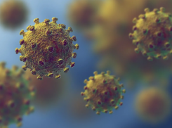В Тамбовской области за сутки коронавирусом заболели ещё 123 человека