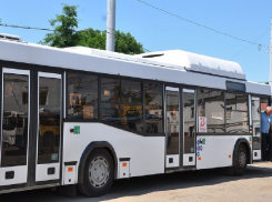 В Тамбове старые троллейбусы заменили автобусами с кондиционерами