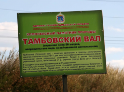 Тамбовчан попросили не заниматься вандализмом на Полынковском кладбище