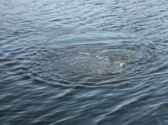 Два человека утонули в Тамбовской области за прошедшую неделю