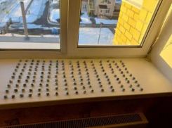 В Тамбове снова задержали молодых наркокурьеров из Москвы 