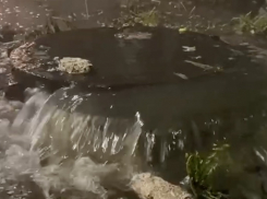 В Тамбове областную прокуратуру снова залило нечистотами