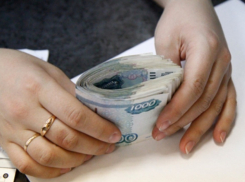 Украла 65 тысяч у пенсионерки и оплатила кредит 24-летняя жительница Мичуринска 