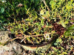 В Жердевке с детского сада хотят взыскать денежную компенсацию из-за травмы воспитанницы