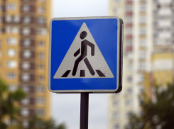 17 декабря в Тамбовской области автоинспекторы будут патрулировать пешеходные переходы