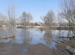 Из-за подъёма воды в Кашме временно закрыли мост у Волхонщины  