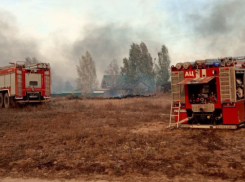 Два месяца после пожаров в Шапкино и Тихом углу: что там происходит