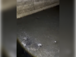 «Народный фронт» нашёл ещё одно фекальное болото в посёлке Первомайский