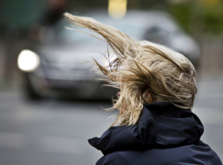 В ближайшее время в Тамбове усилится ветер, а выходные будет +20