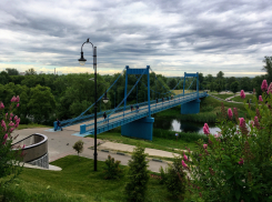 10 тысяч тамбовчан проголосовало за строительство игрового парка 