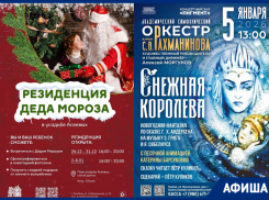 Как весело и с пользой провести новогодние каникулы в Тамбове?