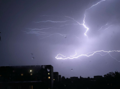 Прошедшая гроза в Тамбове повалила 5 деревьев и обесточила водозаборный узел