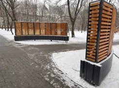 Пионерский парк в Тамбове сдан с недочётами