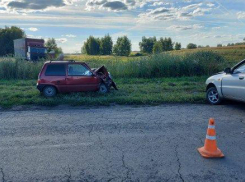 В Мичуринском районе “Ока” насмерть сбила велосипедиста