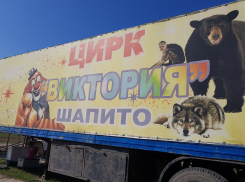 Артисты «загостившегося» в Тамбове цирка готовят для горожан сюрприз