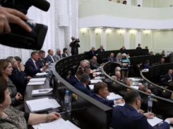 Облдума одобрила преобразование районов Тамбовской области в округа