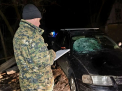 Пьяный водитель насмерть сбил 14-летнюю девочку в Ржаксинском районе