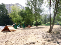 В Тамбове выгуливать и дрессировать собак можно на пяти специальных площадках