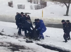 Прокуратура проведёт проверку по факту провала подростка под землю в Тамбове