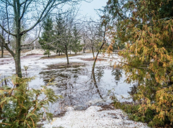 Четыре памятника природы созданы в регионе 