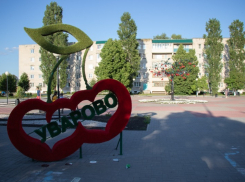 Тамбовчанам предложили придумать название новым сортам уваровской вишни