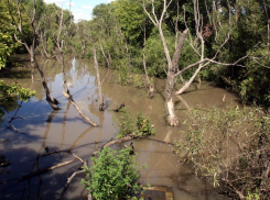 В Тамбовской области в этом году планируют расчистить Студенец и Челновую