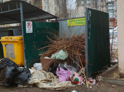 Тамбовчанам напоминают о правилах и ответственности при утилизации растительных отходов 