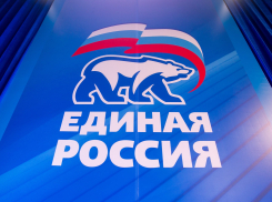 Тамбовские единороссы определились с кандидатами на довыборы в городскую и областную думы