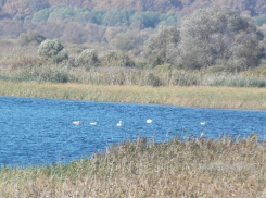 В Воронинском заповеднике ввели плату за вход для туристов