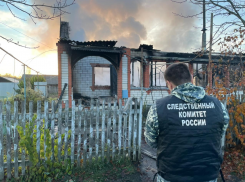 В селе Алгасово Моршанского района при пожаре погибла 75-летняя женщина