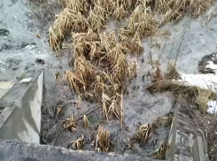 Жители Майского жалуются на разлив канализации, а в «РКС-Тамбов» «нет технической возможности»