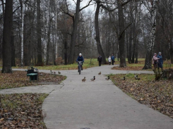 Тамбовские власти хотят сохранить первозданность при благоустройстве Ахлебиновской рощи