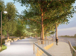 Ахлябиновскую рощу в Тамбове превратят в Южный парк