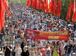 В Тамбовской области началась регистрация волонтеров для помощи в проведении Дня Победы