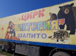 Застрявший в Тамбове из-за пандемии цирк-шапито хочет остаться здесь навсегда