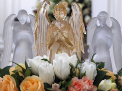 Кинопоказы, мастер-классы, творческие встречи: Тамбовщину ожидает трехдневный киномарафон 