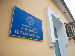 «Тамбовская сетевая компания» отчиталась за 2024 год: регоператор поделился успехами и проблемами в сфере ТКО