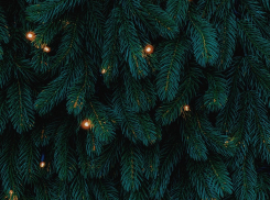 На площадь Ленина в Тамбове вернётся традиционная новогодняя ёлка