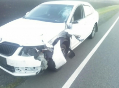 Пешеход погиб под колесами ŠKODA Octavia в Мордовском районе