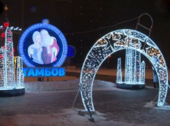 Администрация Тамбова отказалась от закупки новых новогодних украшений