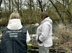 Власти начали проверку информации о загрязнении реки Мазовка в Тамбовском округе